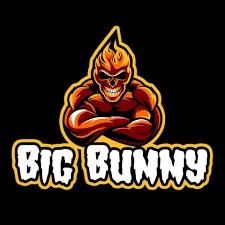 bigbunny